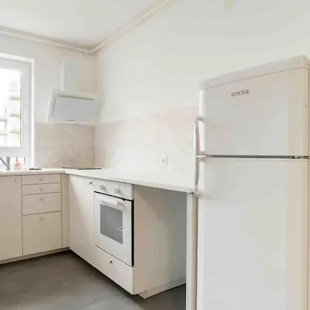 The Golden Loft 布拉索夫