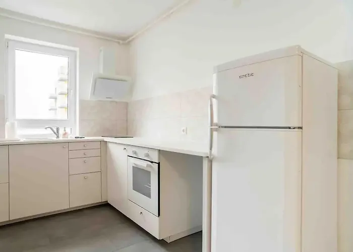 The Golden Loft 布拉索夫