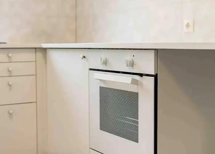 公寓 The Golden Loft 布拉索夫